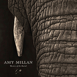 Amy Millan - Masters Of The Burial альбом