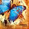Anasazi - origin(s) album