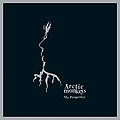 Arctic Monkeys - My Propeller album