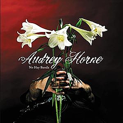 Audrey Horne - No Hay Banda album