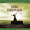 Rahat Fateh Ali Khan - Teri Deewani альбом