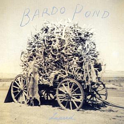 Bardo Pond - Lapsed album
