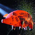 Roger Waters - 2007-07-02: Dark Side Of Bush Pigs: Marcus Amphitheater, Milwaukee, WI, USA album