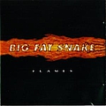 Big Fat Snake - Flames album