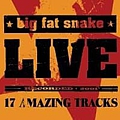 Big Fat Snake - Live альбом