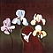 Bonnie Dobson - Bonnie Dobson album