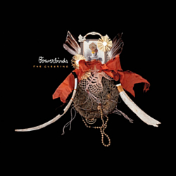 Bowerbirds - The Clearing album