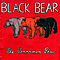 Black Bear - The Cinnamon Phase album