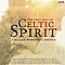 Celtic Spirit - The Very Best of Celtic Spirit - Chilled Romantic Moods альбом