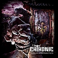 Chthonic - Mirror Of Retribution album