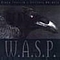 W.A.S.P. - Black Forever album