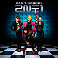 2NE1 - Can&#039;t Nobody album