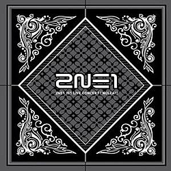 2NE1 - 2NE1 1st Live Concert Nolza! альбом