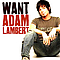 Adam Lambert - Want альбом