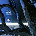 Coil - Musick to Play in the Dark, Volume 2 album