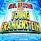 Company - The New Mel Brooks Musical - Young Frankenstein album