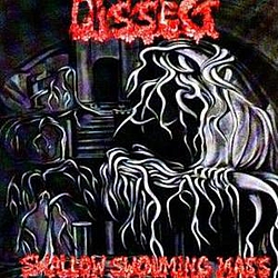Dissect - Swallow Swouming Mass album
