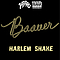 Baauer - Harlem Shake album