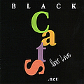 Black Cats - Scream Of The Cats - Persian Music album