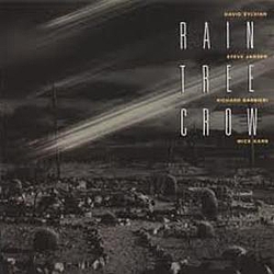 David Sylvian - Rain Tree Crow альбом