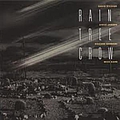 David Sylvian - Rain Tree Crow album