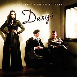 Dexys - One Day I&#039;m Going To Soar альбом