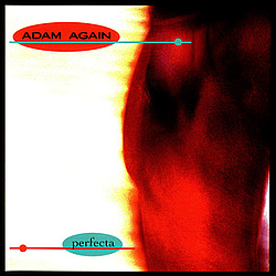 Adam Again - Perfecta album