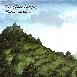 The Black Crowes - Before The Frost... album