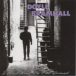 Doyle Bramhall - Bird Nest On The Ground альбом
