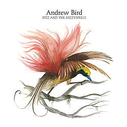 Andrew Bird - Fitz and the Dizzyspells album