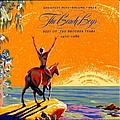 The Beach Boys - The Beach Boys - The Greatest Hits Vol. 3: Best of the Brother Years album