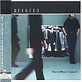 The Bee Gees - This Is Where I Came In album