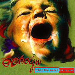 Echolyn - When the Sweet Turns Sour album