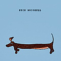 Edie Brickell - Edie Brickell album