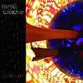 Animal Collective - Peacebone album