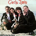 The Circle Jerks - Wonderful album