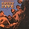 Count Five - Psychotic Reaction: The Very Best of Count Five album