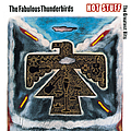 The Fabulous Thunderbirds - Hot Stuff: The Greatest Hits album