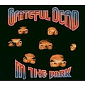 The Grateful Dead - In the Dark album