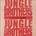 Jungle Brothers - Beyond This World:Best and Rare album