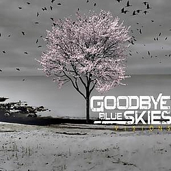 Goodbye Blue Skies - Visions альбом