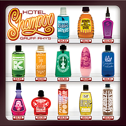 Gruff Rhys - Hotel Shampoo album
