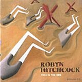 Robyn Hitchcock - This Is the BBC album