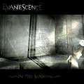 Evanescence - In The Shadows album