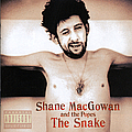 Shane Macgowan And The Popes - The Snake album
