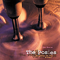 The Posies - Frosting on the Beater album