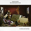 Sonic Youth - Destroyed Room: B-Sides and Rarities альбом