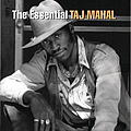 Taj Mahal - The Essential Taj Mahal album
