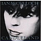 Ian McCulloch - Candleland album