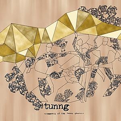 Tunng - Comments of the Inner Chorus album